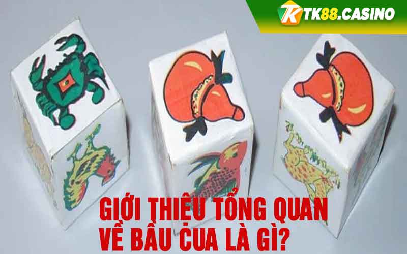 Giới thiệu tổng quan về bầu cua là gì?