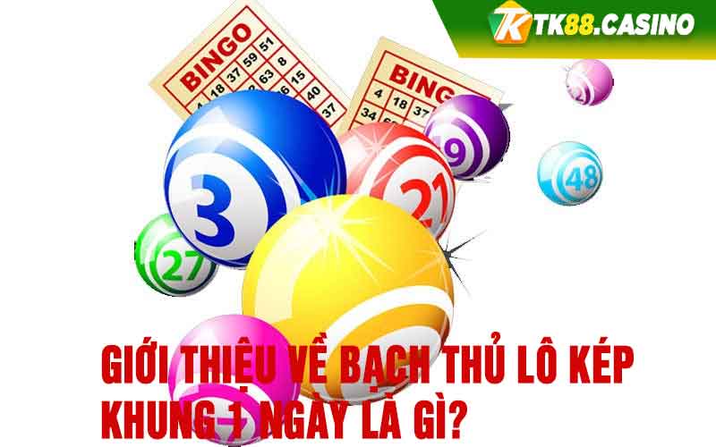 Giới thiệu về bạch thủ lô kép khung 1 ngày là gì?