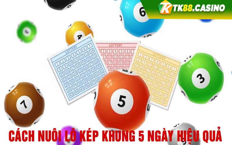 Cách nuôi lô kép khung 5 ngày hiệu quả 