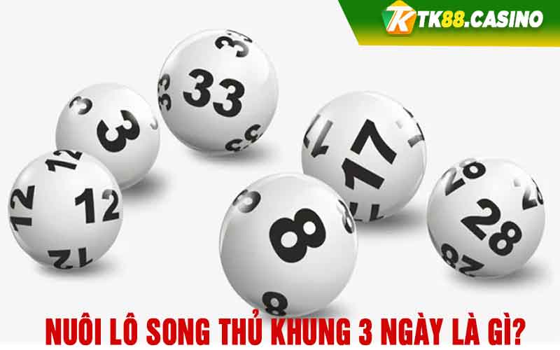 Nuôi lô song thủ khung 3 ngày là gì?