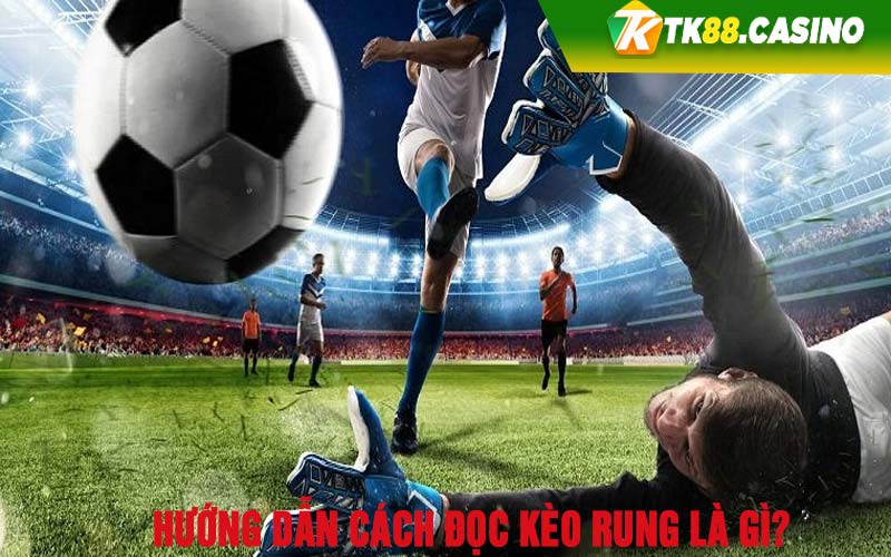 Hướng dẫn cách đọc kèo rung là gì? 